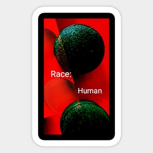 Race Sticker